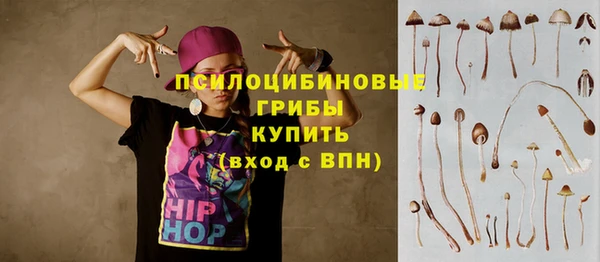 прущие грибы Абдулино