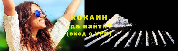 прущие грибы Новокубанск