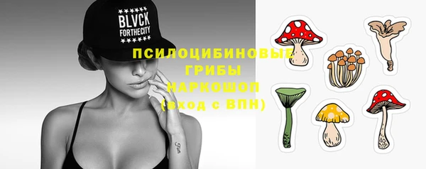 прущие грибы Абдулино