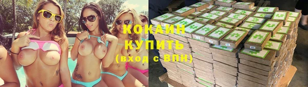 прущие грибы Новокубанск